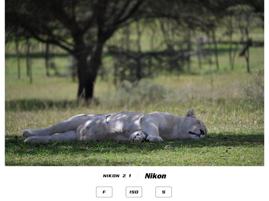 Serengeti Smile-阿鲁沙必去景点