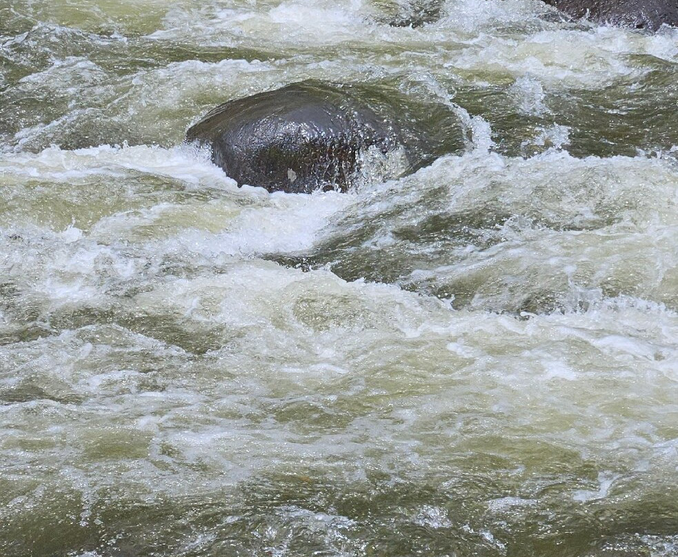 Finca Cafetera Don Elias-萨伦托必去景点