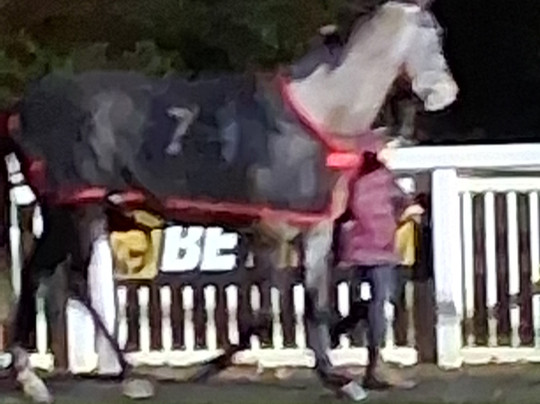 Holiday Inn Wolverhampton - Racecourse by IHG主图