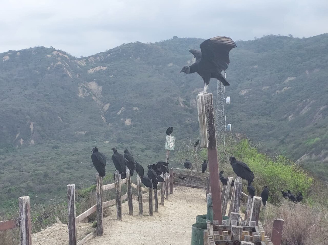 Lighthouse San Lorenzo