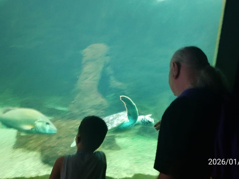 Aquário Natal-Extremoz必去景点