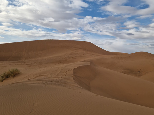 Sahara Relax-扎古拉必去景点