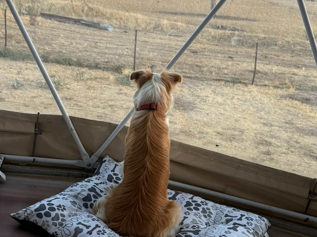 Hillview Farmstay主图