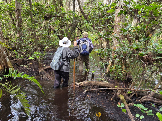 Clyde Butcher's Big Cypress Gallery-奥乔皮必去景点