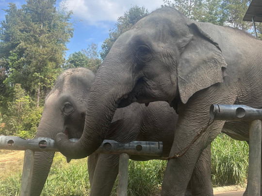 Chang Chill-Mae Win必去景点