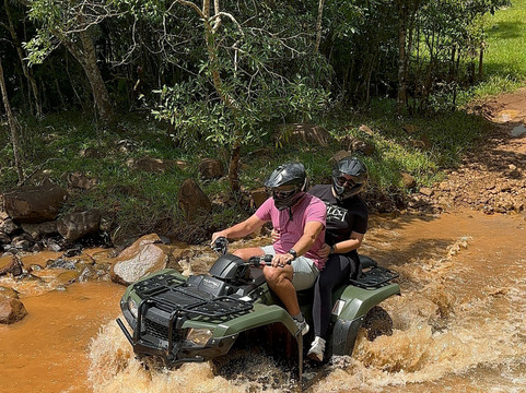 Graxaim do Mato-Praia Grande必去景点