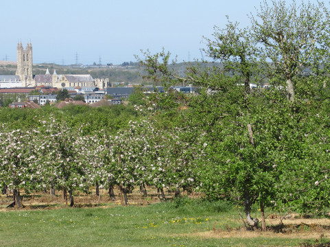 Canterbury Cathedral Panoramic Viewpoint-坎特伯雷必去景点
