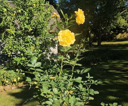 Gowan Valley Guest Farm主图