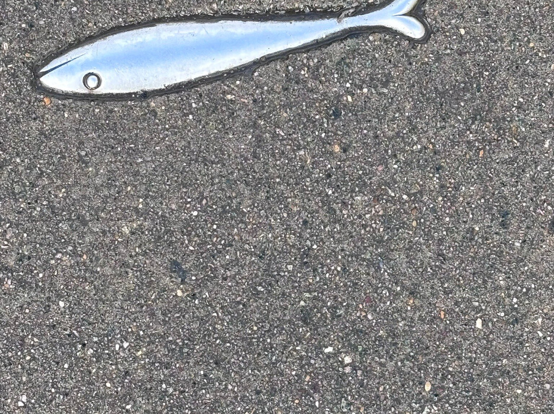 Look Up London Tours-伦敦必去景点