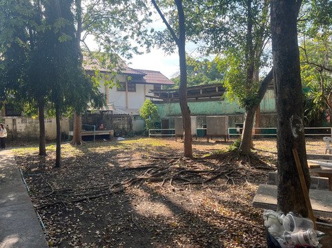 Lopburi Zoo-华富里必去景点