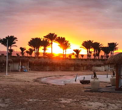 Seaworld Travel Egypt-马萨阿拉姆必去景点