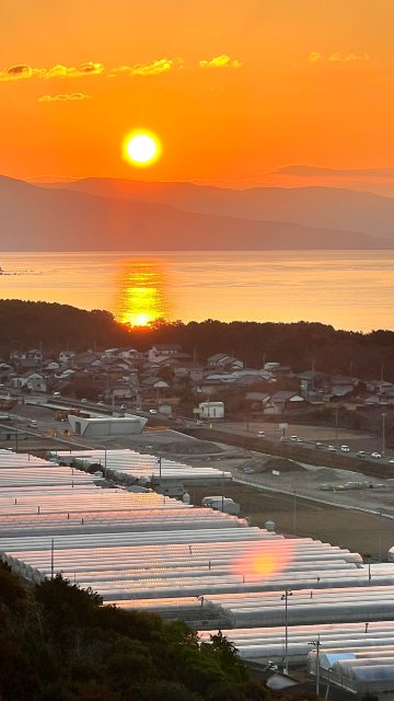 高知土佐美居温泉度假酒店-官方