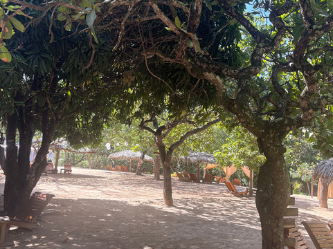 Praia do Puçá-Aurora do Tocantins必去景点