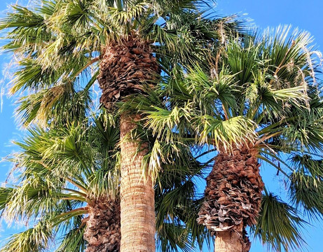 Santa Cruz Chili & Spice-Tumacacori必去景点