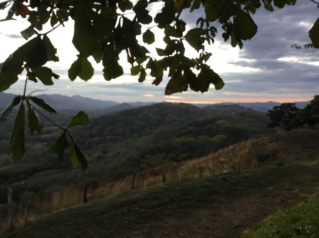 Restaurante y Mirador Palo de Jamaica