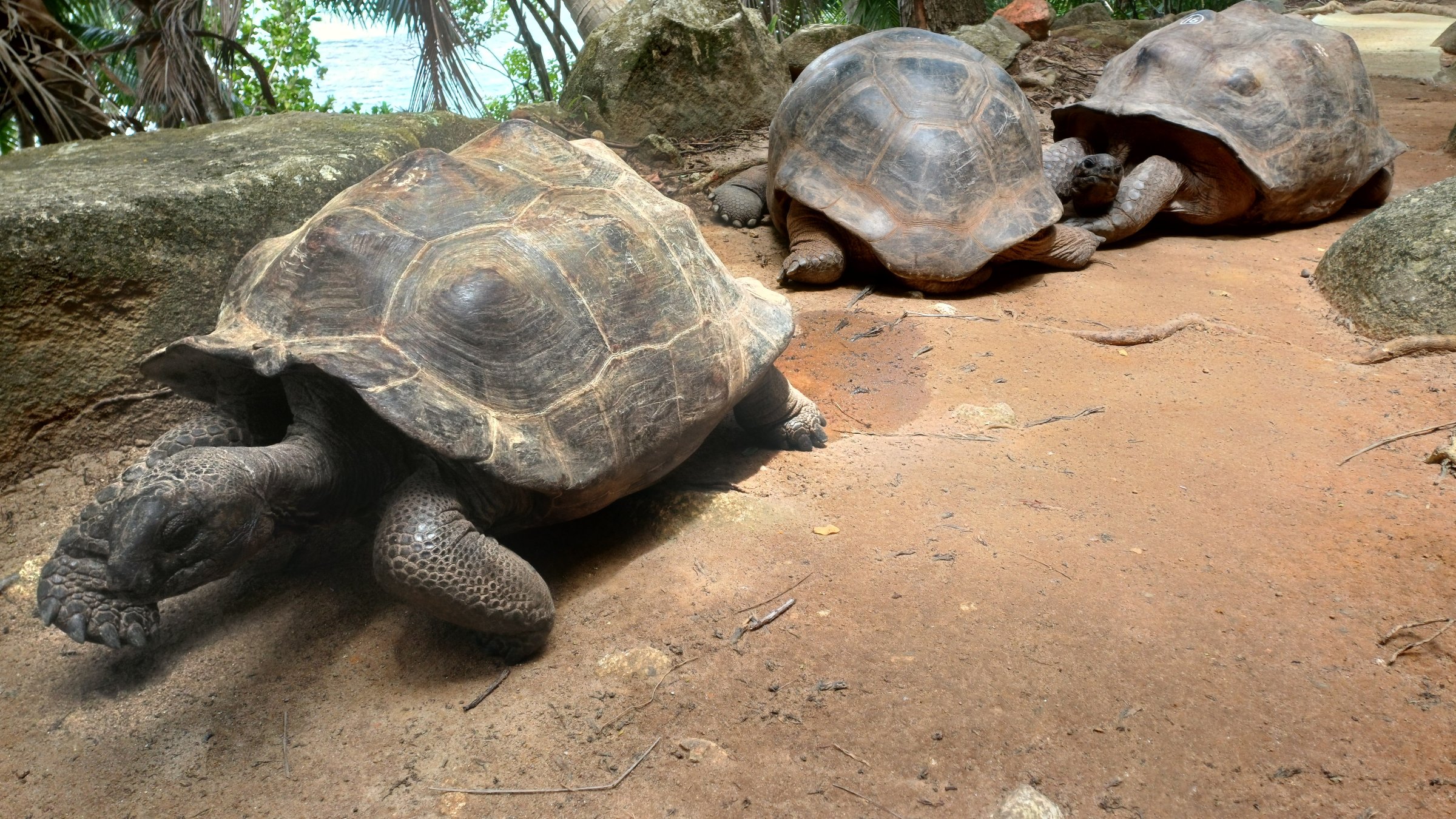 魔法岛度假酒店-官方
