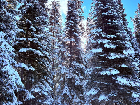 Mountain Man Adventure Tours-太阳峰必去景点