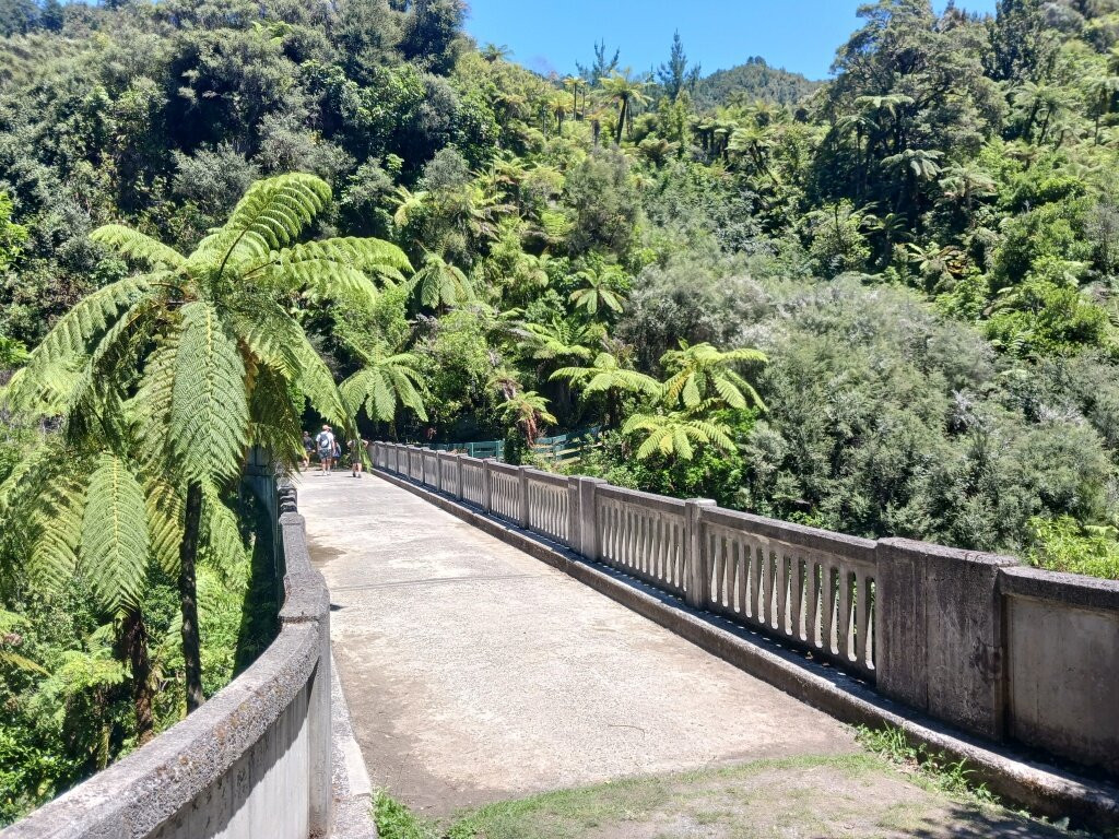 Bridge To Nowhere Tours-旺加努伊必去景点