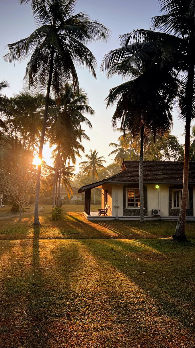 塔玛林德树酒店-客卧
