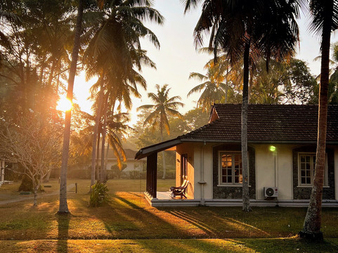 塔玛林德树酒店主图