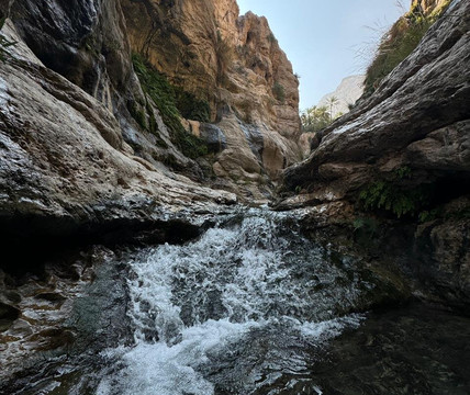 Wadi Tiwi-提维必去景点