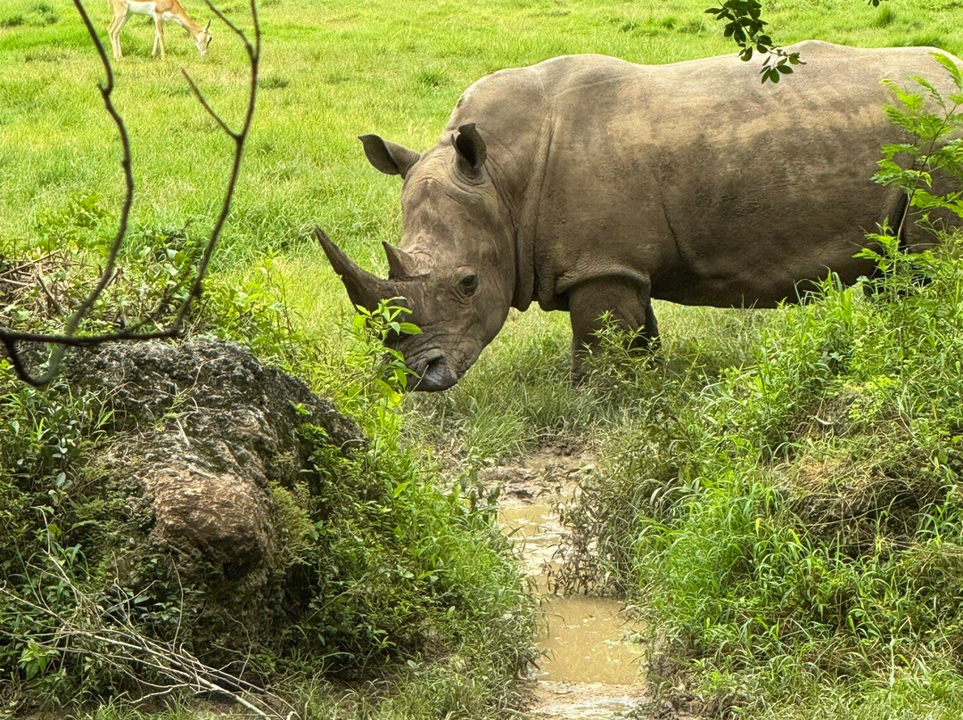 National Zoological Park-圣多明哥必去景点