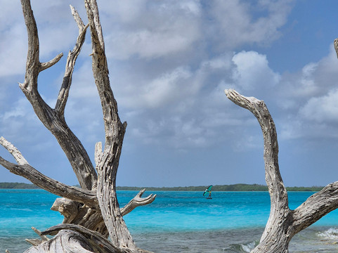 Lac Bay-Kralendijk必去景点