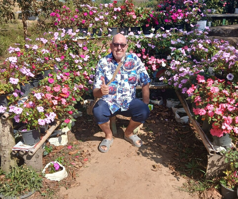 Khao Kho Wind Farm-考柯县必去景点