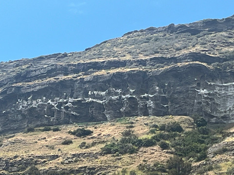 Estancia Olga Teresa-Rio Verde必去景点