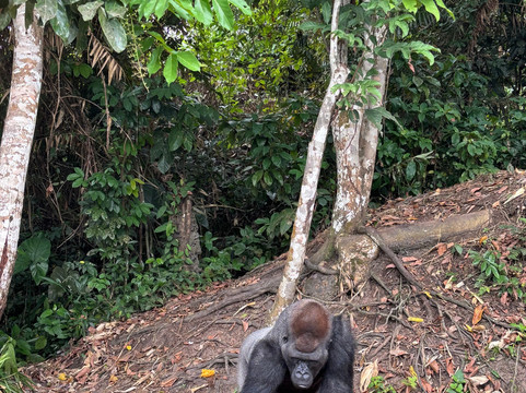 Le Guide Du Congo-Pointe Noire必去景点