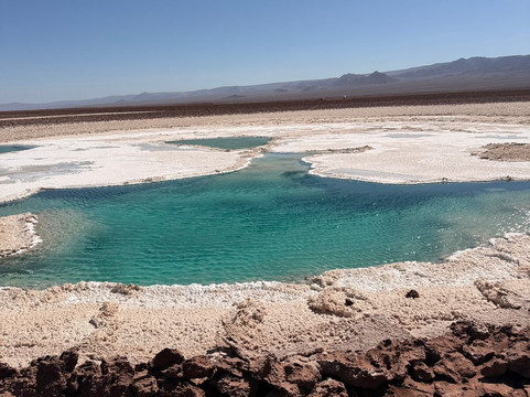 Lagunas Baltinache-圣佩德罗-德阿塔卡马必去景点