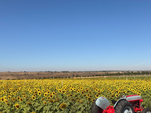 Southern Hill Farms-Clermont必去景点