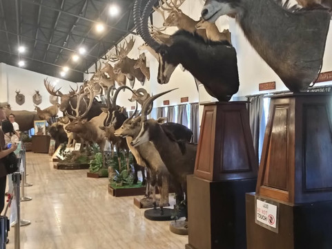 Baluarte Zoo-维甘必去景点