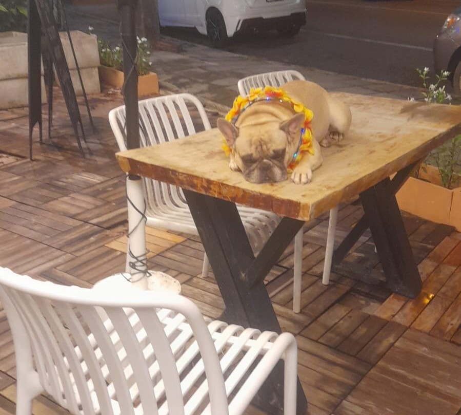 Pottery House-Khlong Muang必去景点