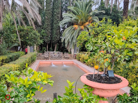 Palacio Portocarrero-Palma Del Rio必去景点