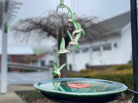 C.H. Bailey 之家主图