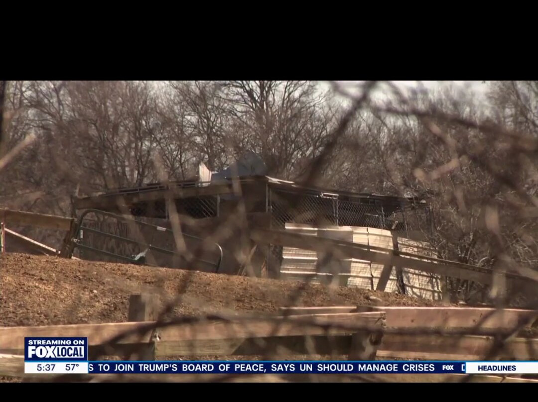 Friesian Herd Experiences-Mukwonago必去景点