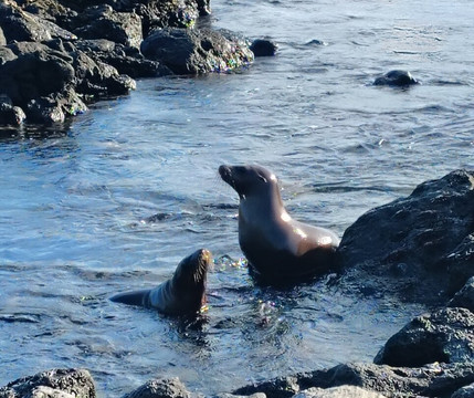 Fragata Yacht-Baltra必去景点