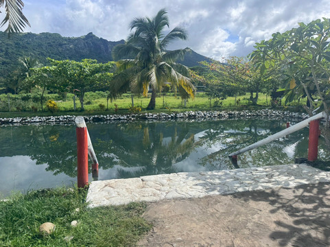 萨贝托泥浆温泉-纳迪市必去景点