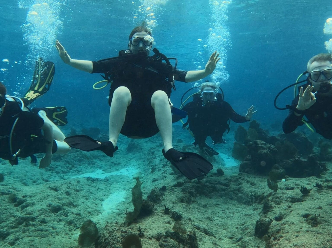 Seahorse Diving School-西湾必去景点