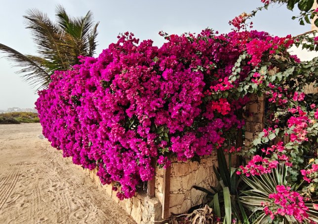 卡塔尼古拉酒店-官方