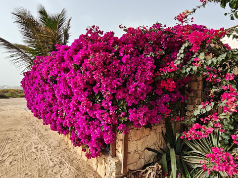 卡塔尼古拉酒店主图