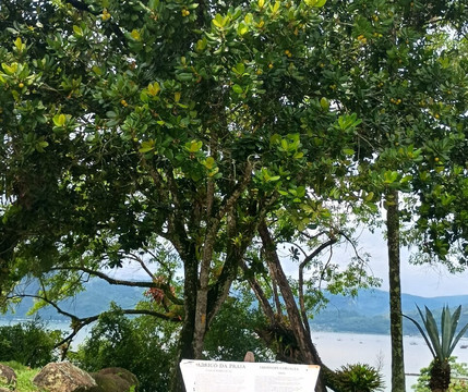 Museu Forte Defensor Perpetuo de  Paraty-帕拉地必去景点