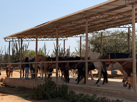 Rancho Loco-Santa Cruz必去景点