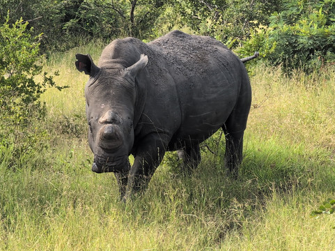 MoAfrika Tours-约翰内斯堡必去景点