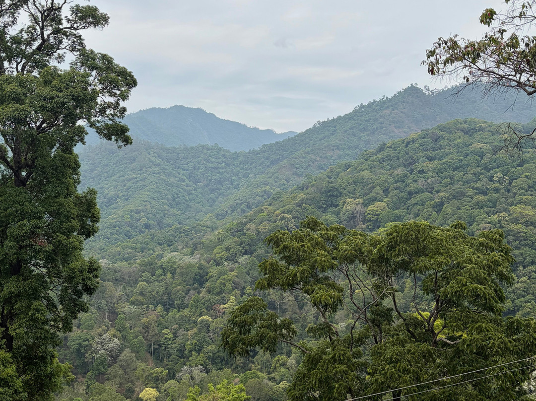 King Kong Smile Zipline-雷沙革必去景点
