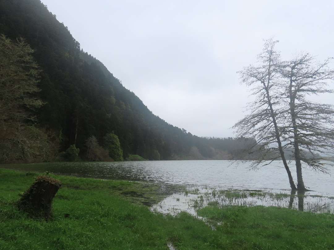 Jose do Canto Forest Garden-富尔纳斯必去景点
