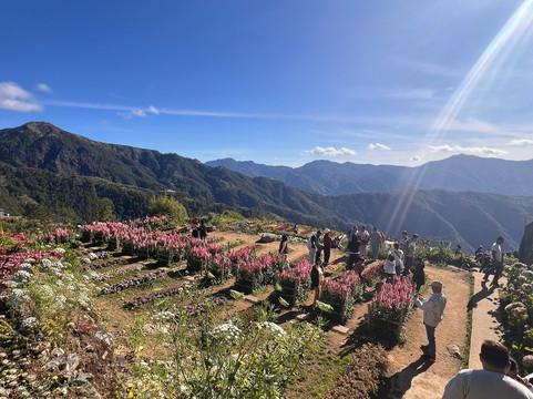 Northern Blossom Flower Farm-Atok必去景点