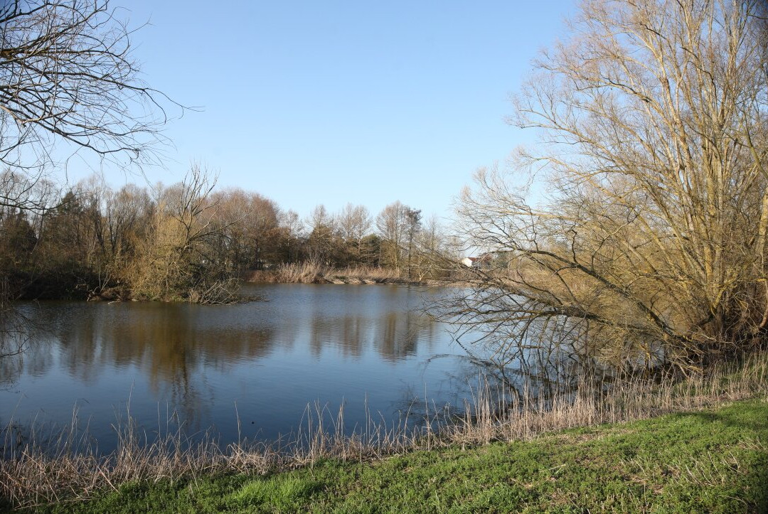 Le Lac de Crissey-Crissey必去景点