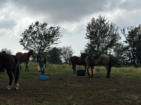 鲁达罗大农场-威可洛亚必去景点